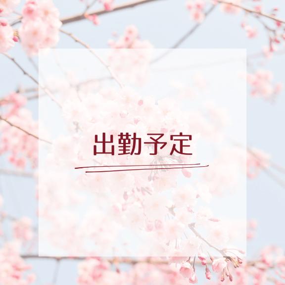 🌷出勤予定