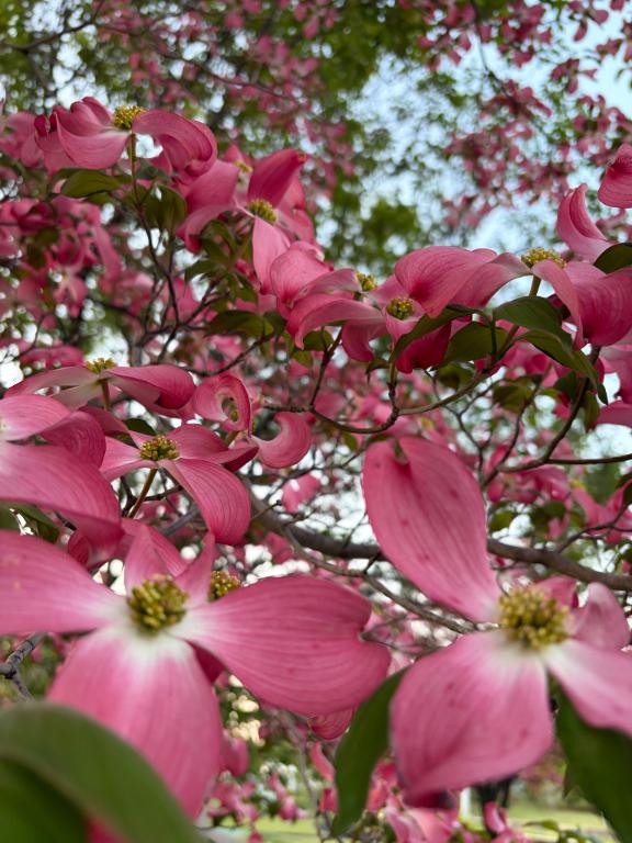 やわらかな朝に❤️