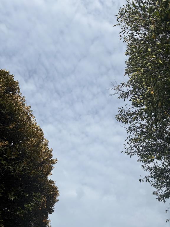 今日の空❤️