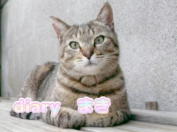 まき